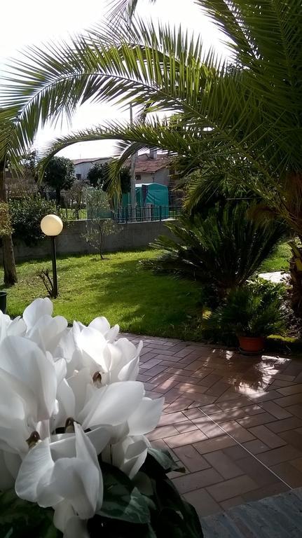 B&B La Cascina Concordia Sagittaria 외부 사진