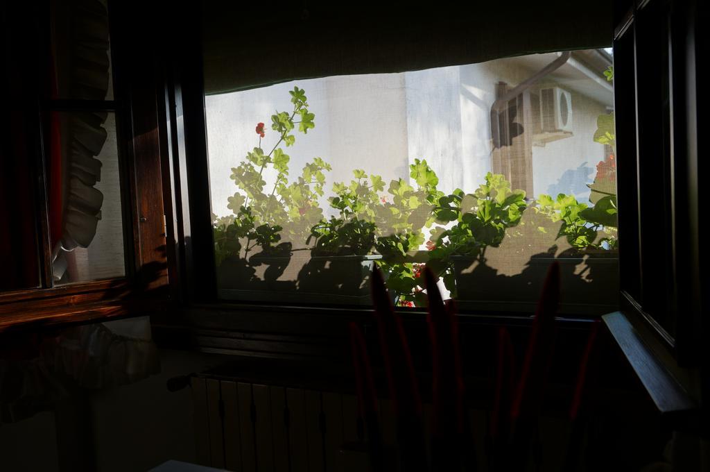 B&B La Cascina Concordia Sagittaria 외부 사진