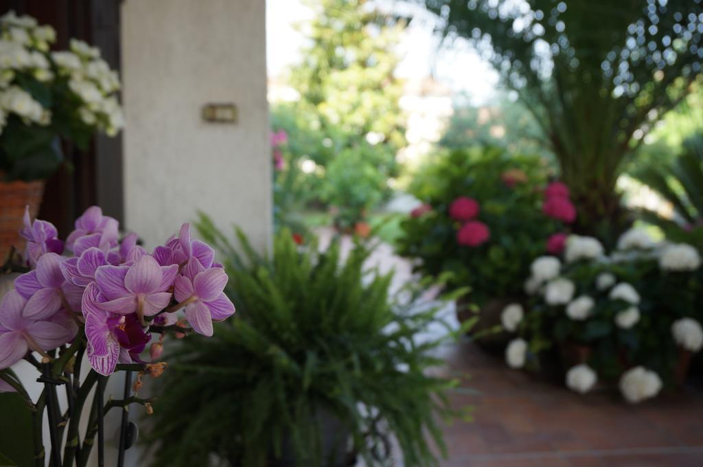 B&B La Cascina Concordia Sagittaria 외부 사진